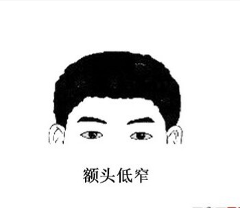 额头低窄，拉低了面相格局，是面相的硬伤。 