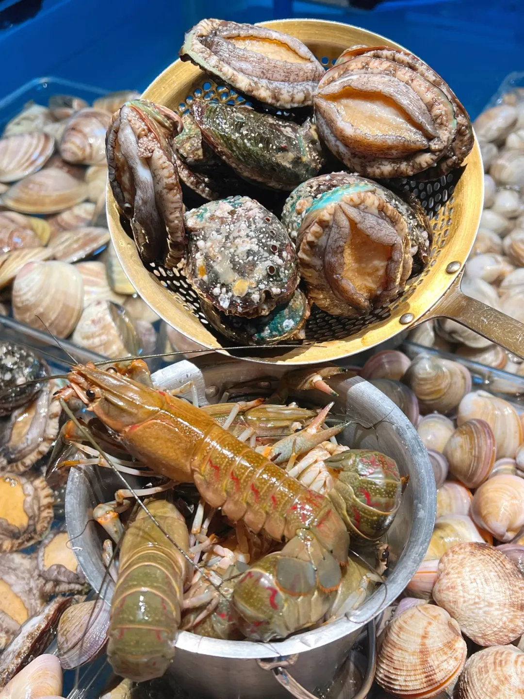 深圳性价比最高的活海鲜·榴莲自助