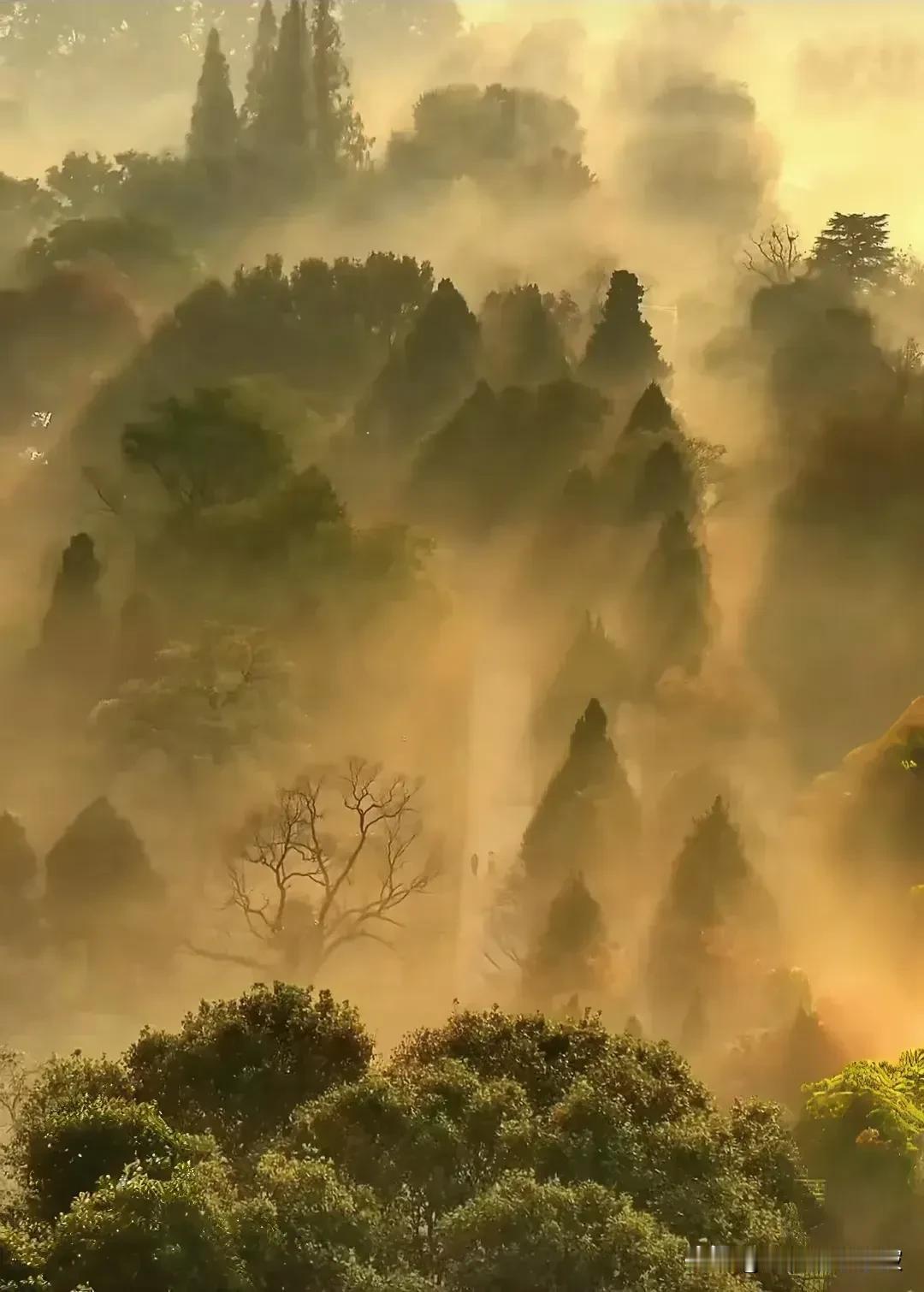 时光岁月对任何人都是公平的。你从来没有放过岁月；岁月也是个硬茬，岁月也从来没有饶