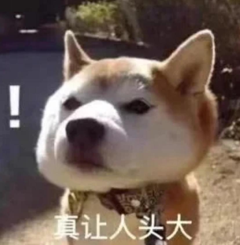 在逃人员去看时团演唱会被抓就算被通缉也要看时团演唱会吗？咱就是说能不能低调一点…