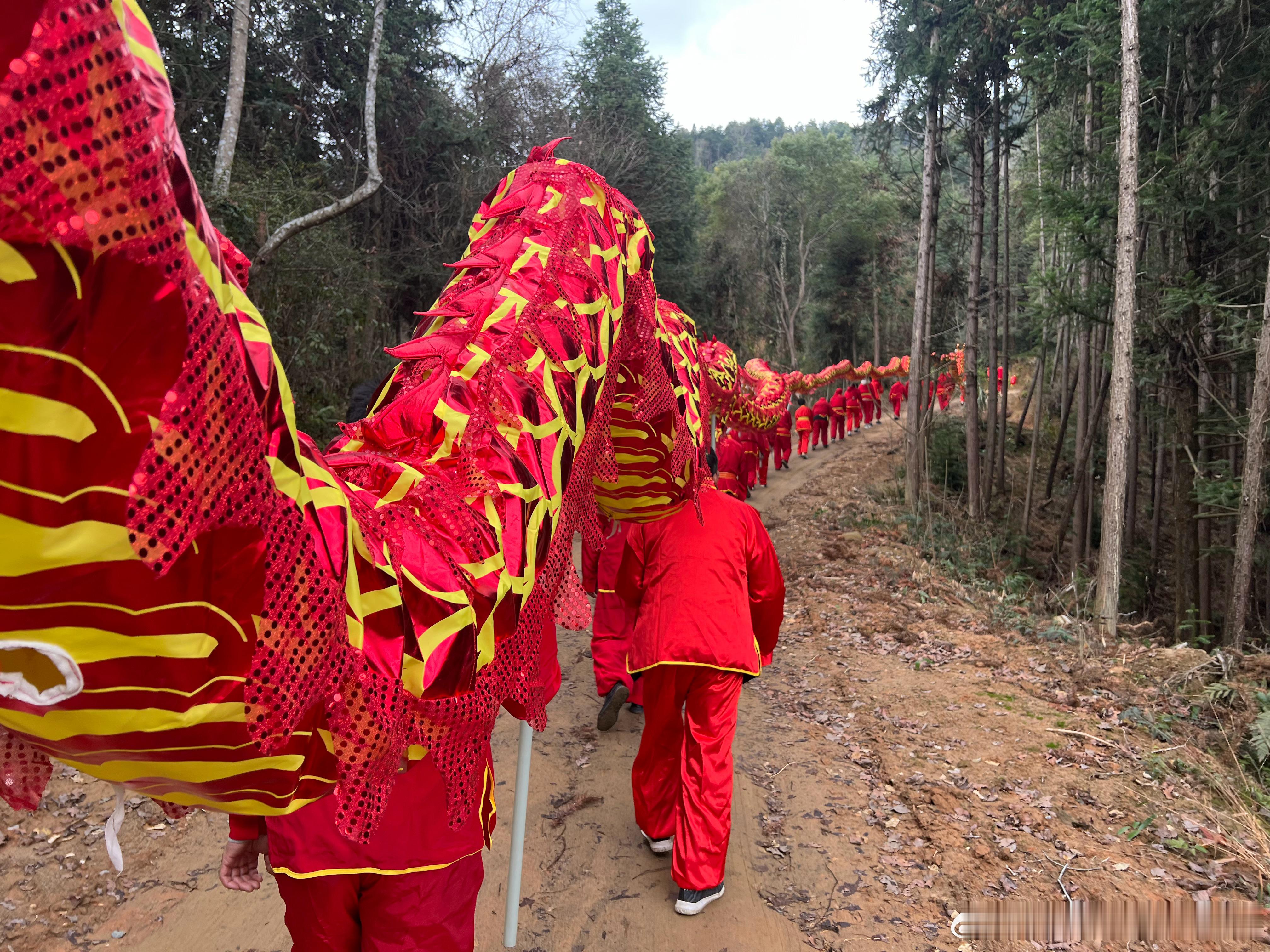 今年继续上岗，新年游龙灯，顺风又顺水[666][666][666] 