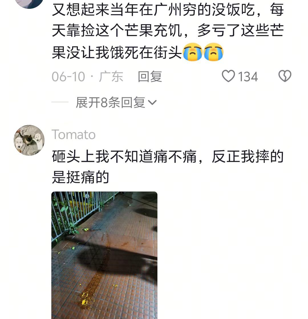 天上不会掉馅饼但是会掉芒果 