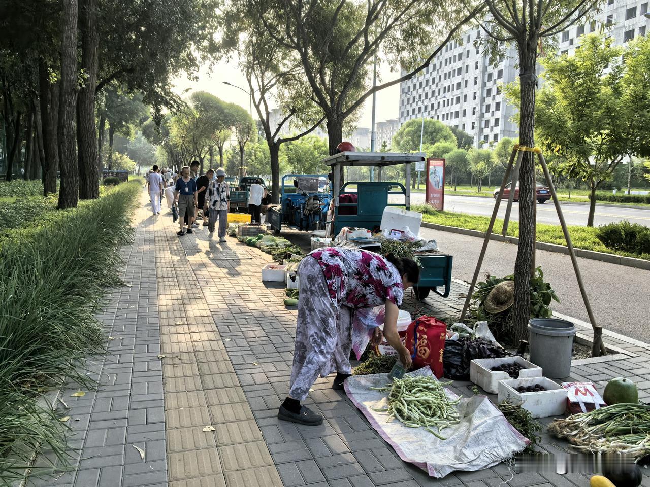 廉洁公园南侧人行道上的早间集市。