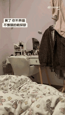 你们养猫的有被监视吗？ 