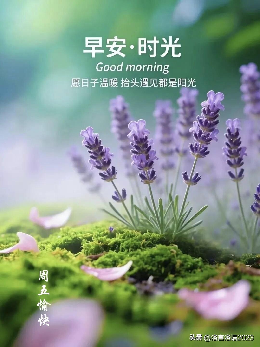 ²⁰²⁶/₀₅.₂₂ 周五｜一键复制发⭕，每天一句早安·时光，愿你从容自在🌿✨