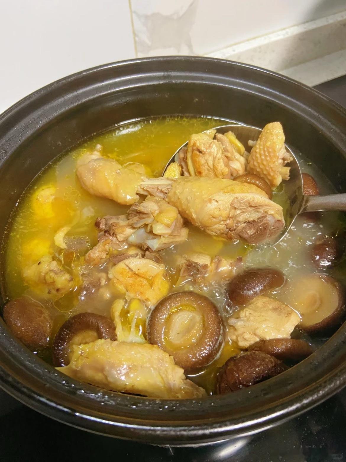 小火慢炖的老母鸡汤，金黄透亮，飘着点点油星。每一口都是时光熬出的温柔，暖了胃，也