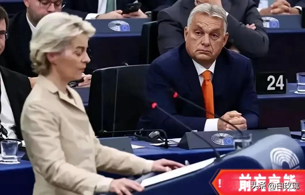 欧尔班的回旋镖来了
欧洲新闻网报道，一名欧盟官员3月25日透露，为向匈牙利政府施