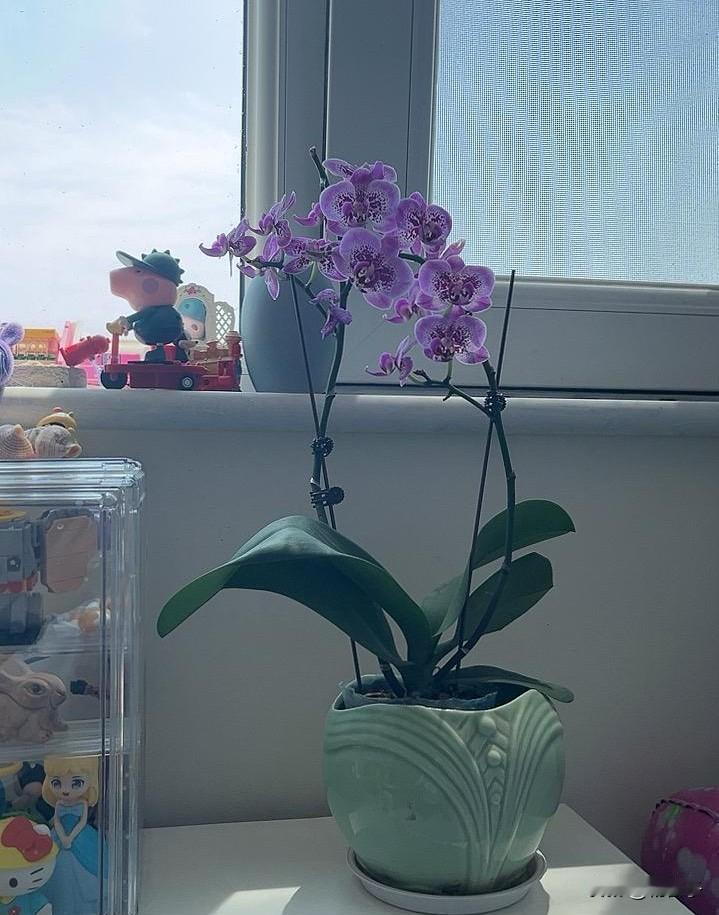 越来越觉得，光是维护自己这副皮囊，就很累了！

五一这几天假，北方天气正好，不冷