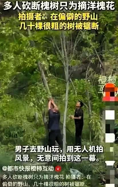 “作孽呀！”4月29日，陕西礼泉一男子旅游，用无人机拍风景，竟发现某村附近，一群