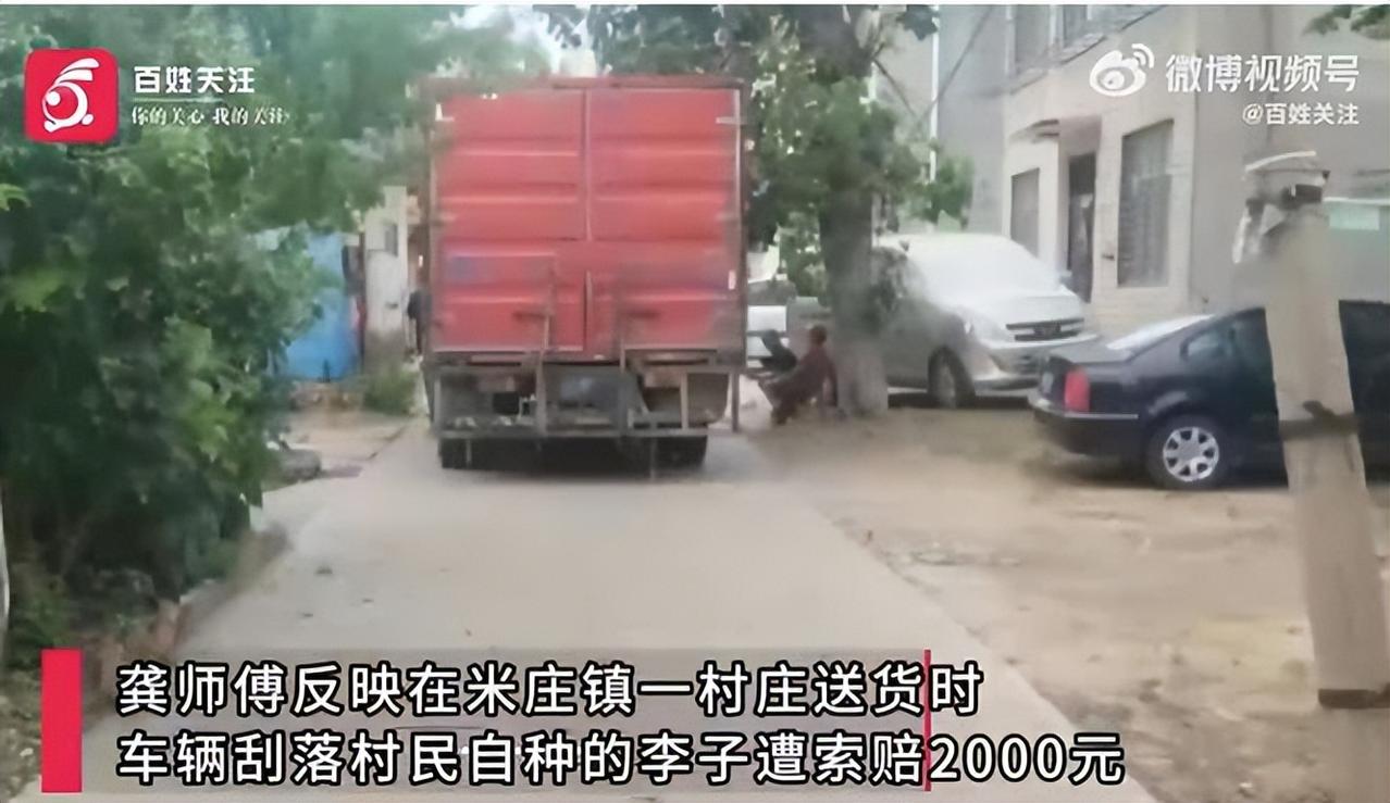 “严查到底！”6月18日，湖北一位货车司机路过一村庄，不慎刮到了村民家的李子。掉