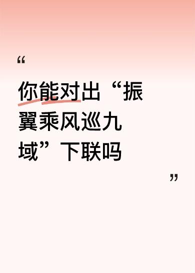 【拆解赏析】
这副对联气势豪迈，充满了奋发向上的力量。上联“振翼乘风巡九域”描绘