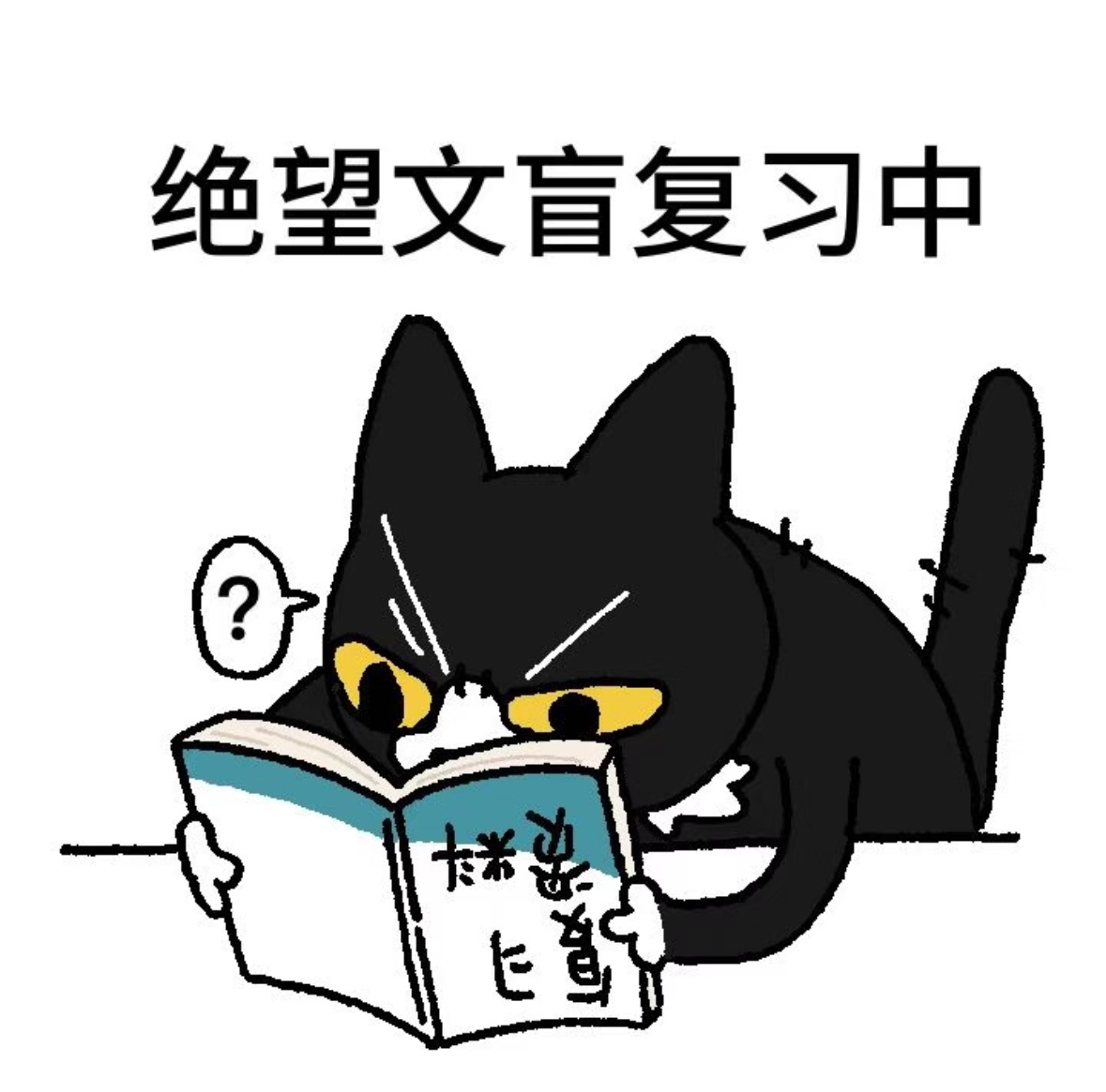知道杨涵博可能要回学校期末考试后我终于能和杨涵博的内心世界产生一点共鸣了 