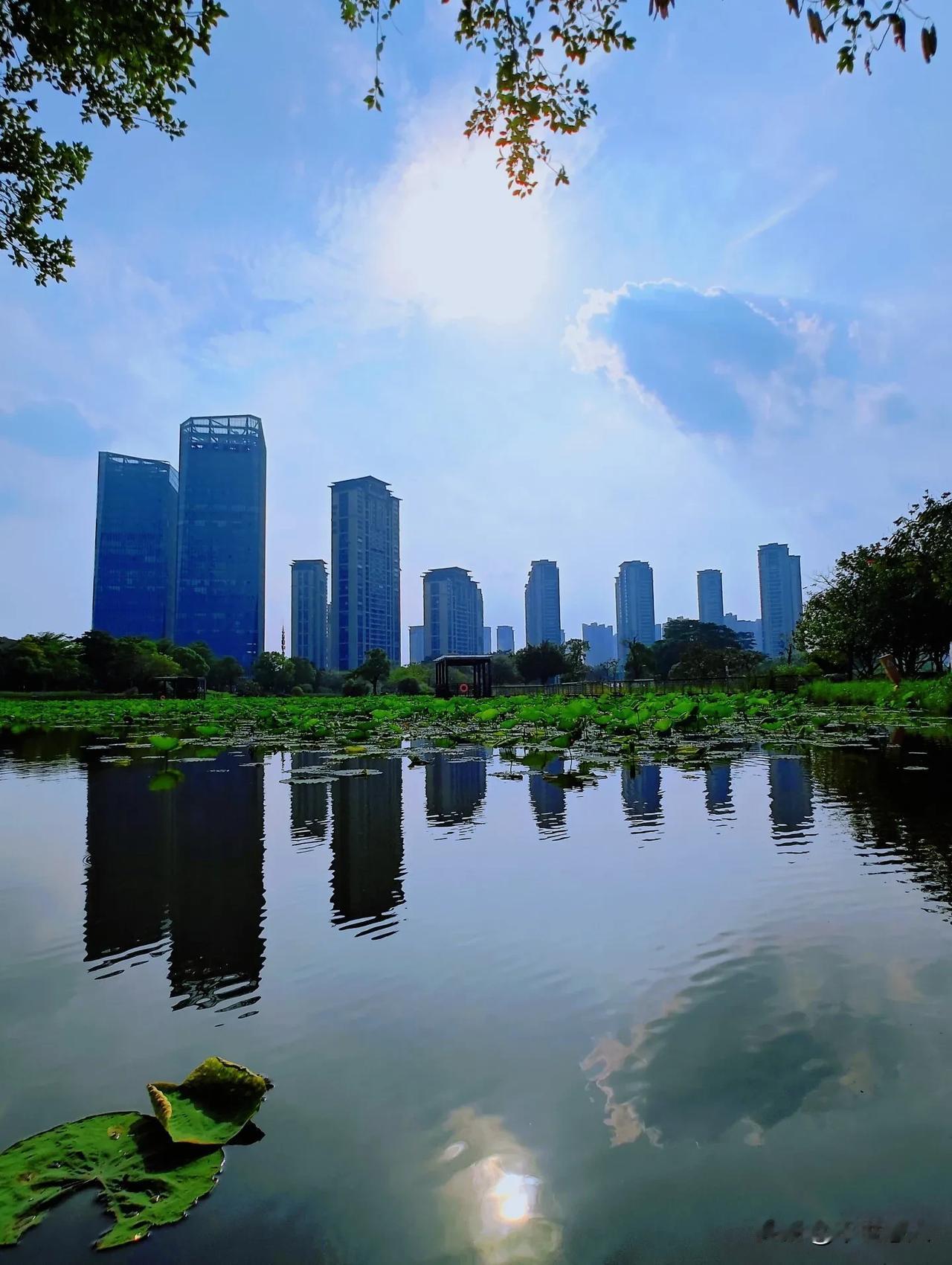 荷塘映日
——漳州市碧湖生态园下洲社区桂林社萃英庙周边景色
分享一张最近随手拍的