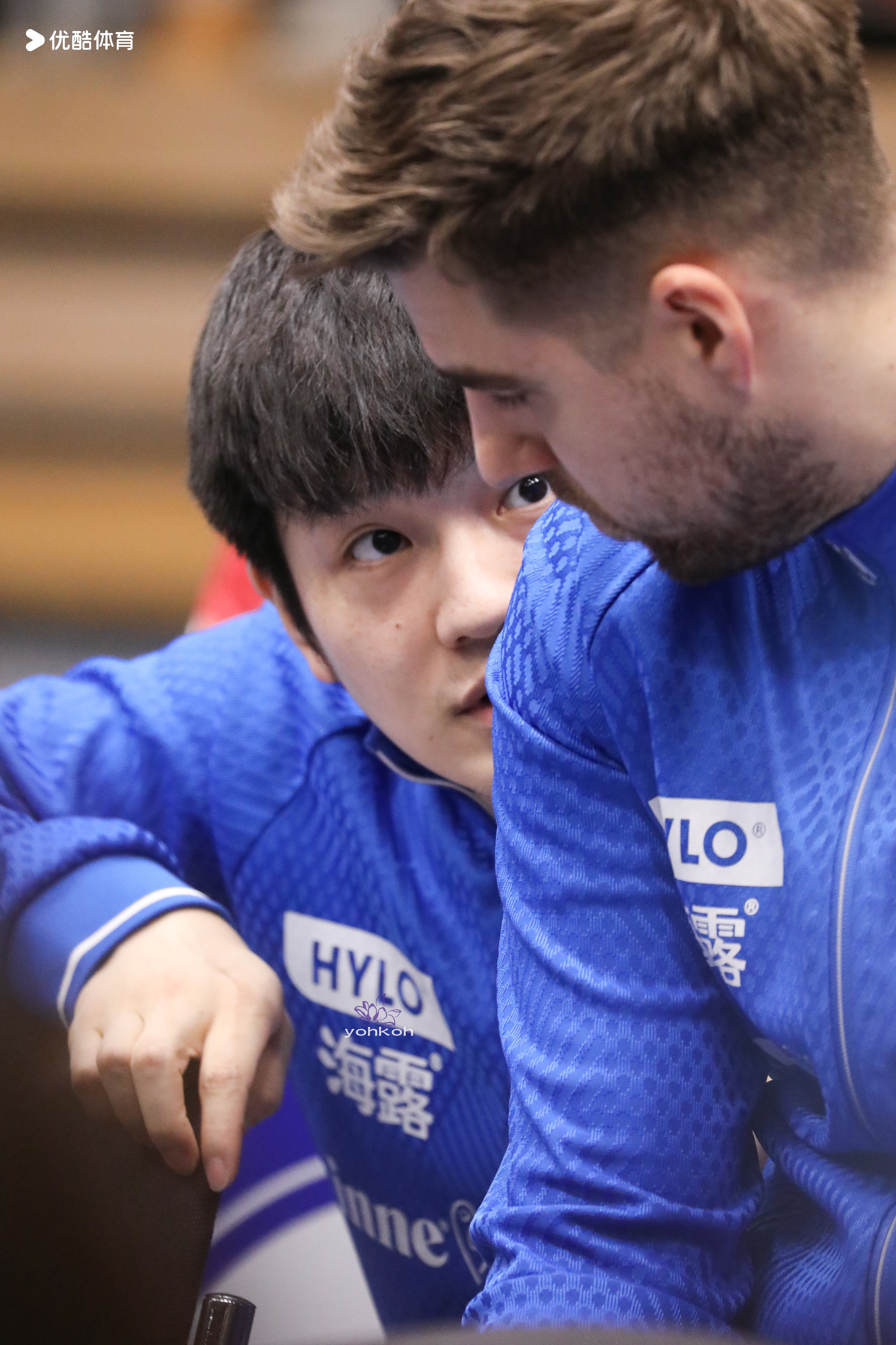 樊振东樊振东德甲 是你永远生动「20260216德甲乒乓球联赛」 