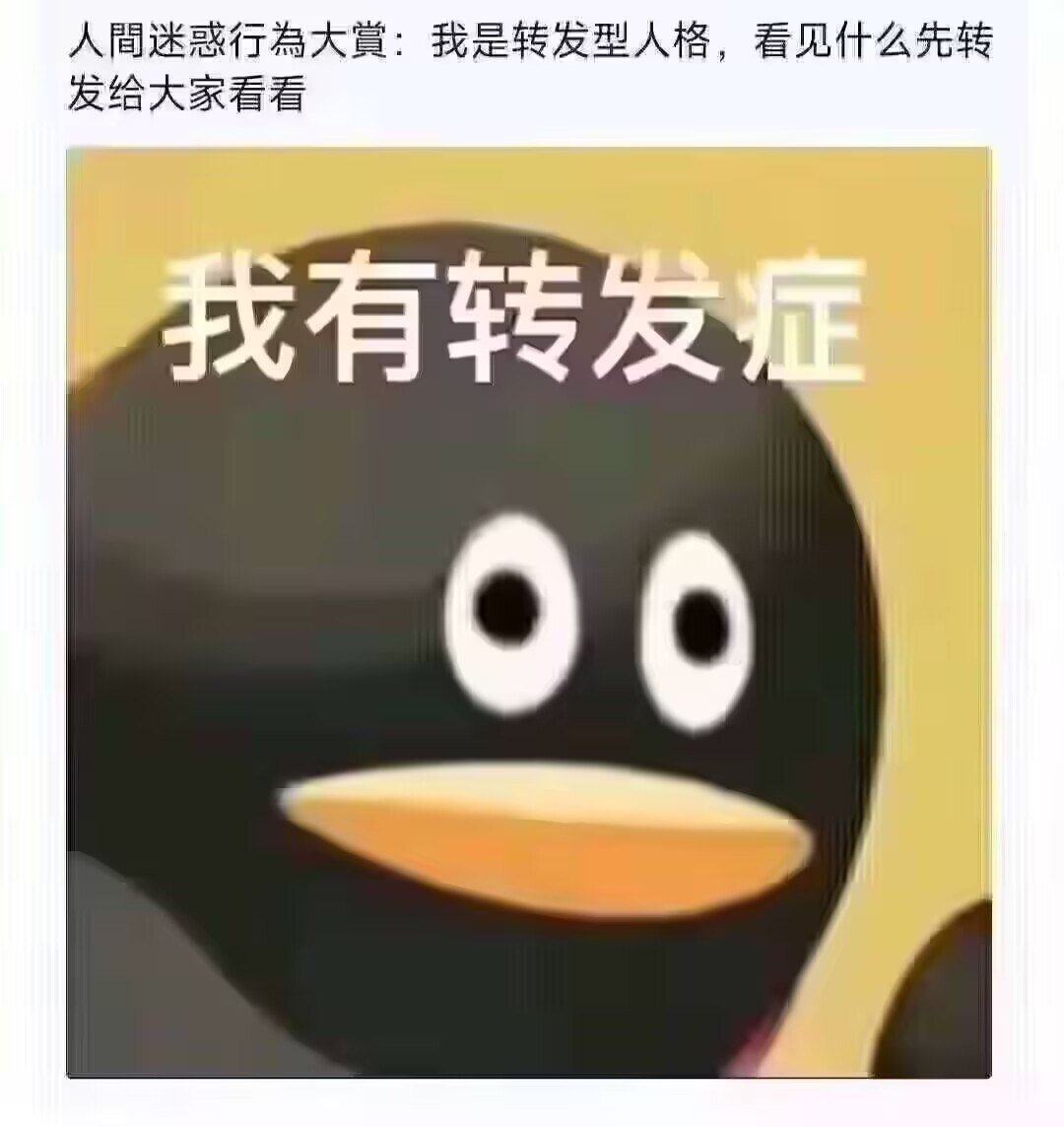 转发型人格 