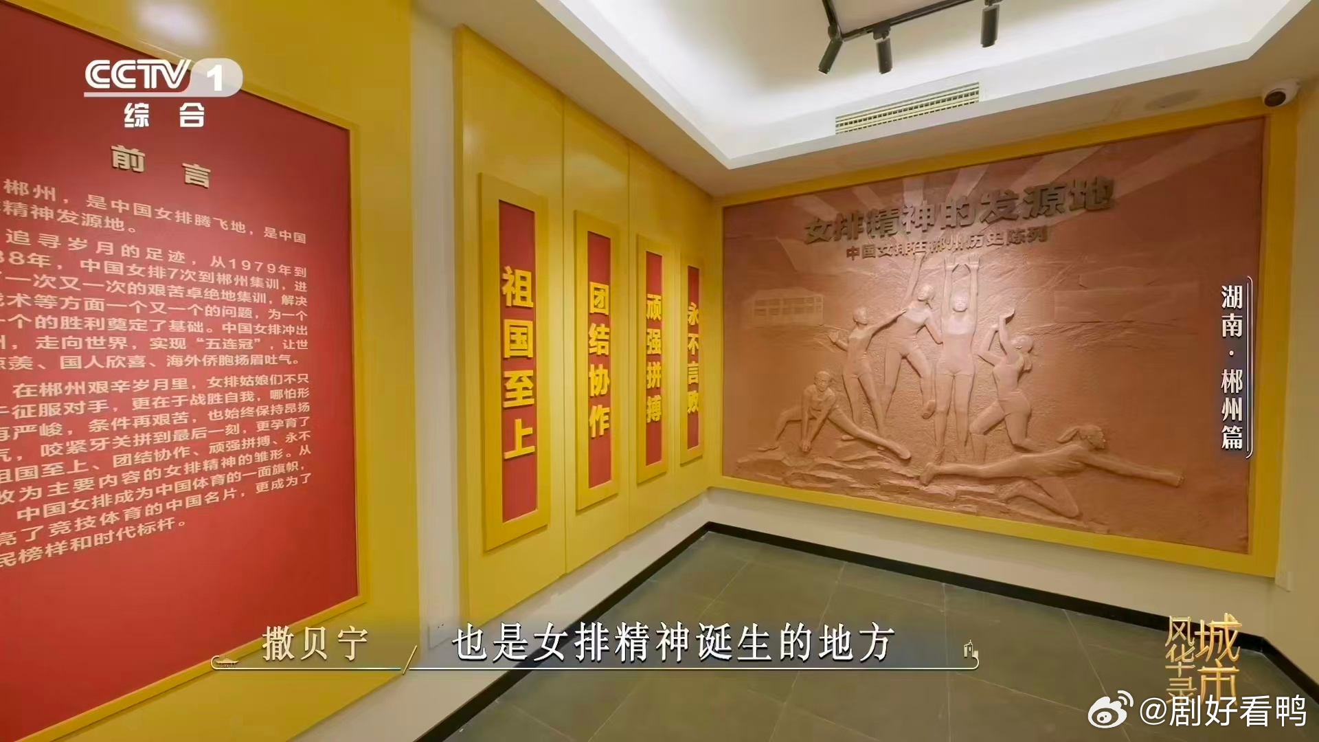 小撒被魏大勋一眼看穿  看他们打球也太欢乐啦🏐 小撒扑地救球超认真，魏大勋一眼