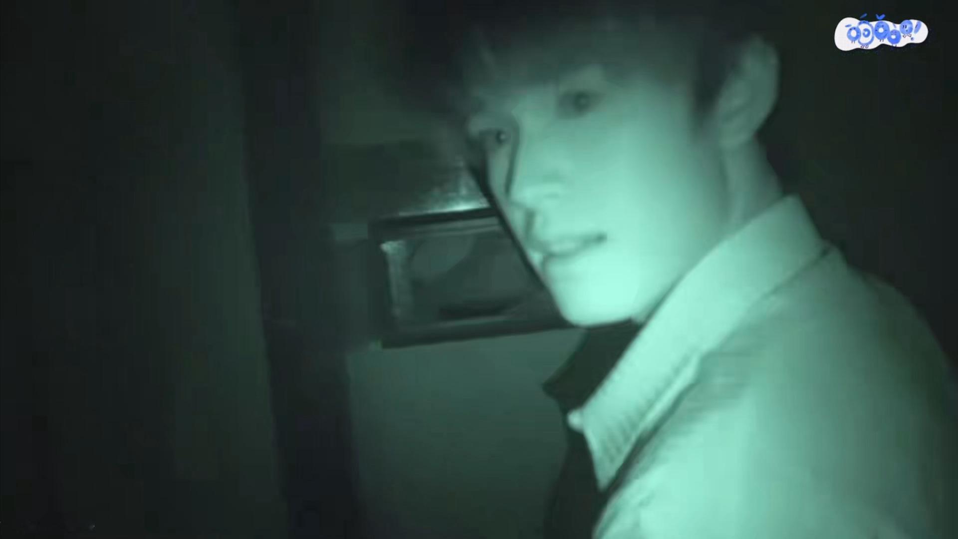 闪现一只萌萌猪和张极一起共赴少年凌云