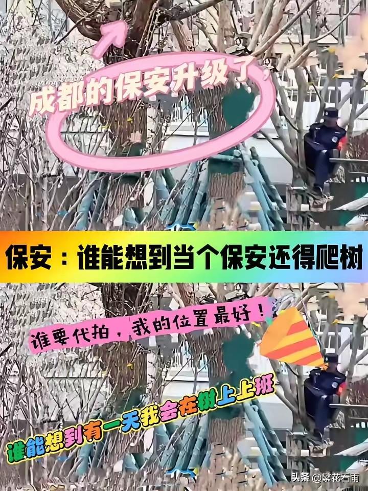 国乒在成都封训备战关键赛事，本是安静练球、全力冲冠的节奏，没想到被一群代拍搅翻了