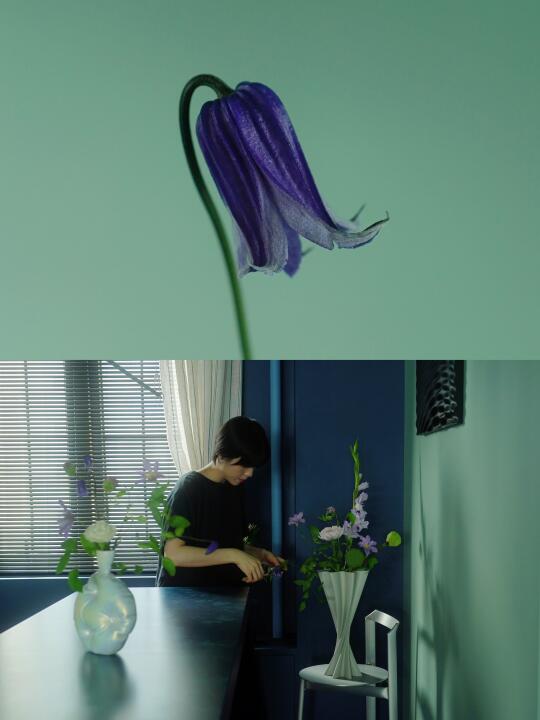 花店老板说夏天就得买这花