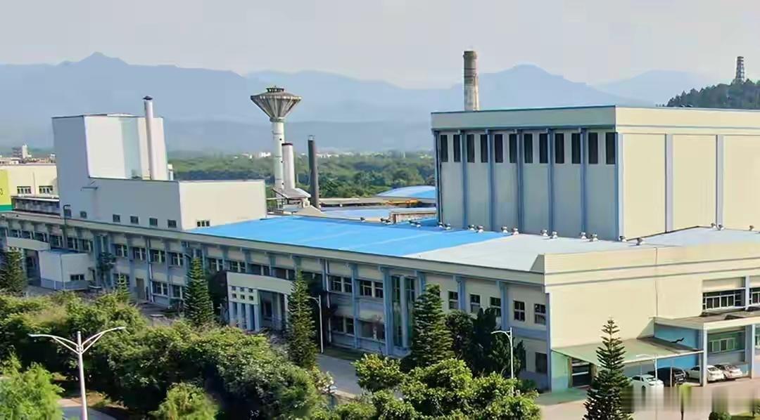 这支股还敢买吗？深圳铜箔大王，套现145亿，高位变现过百亿。6月中旬，张国荣控制