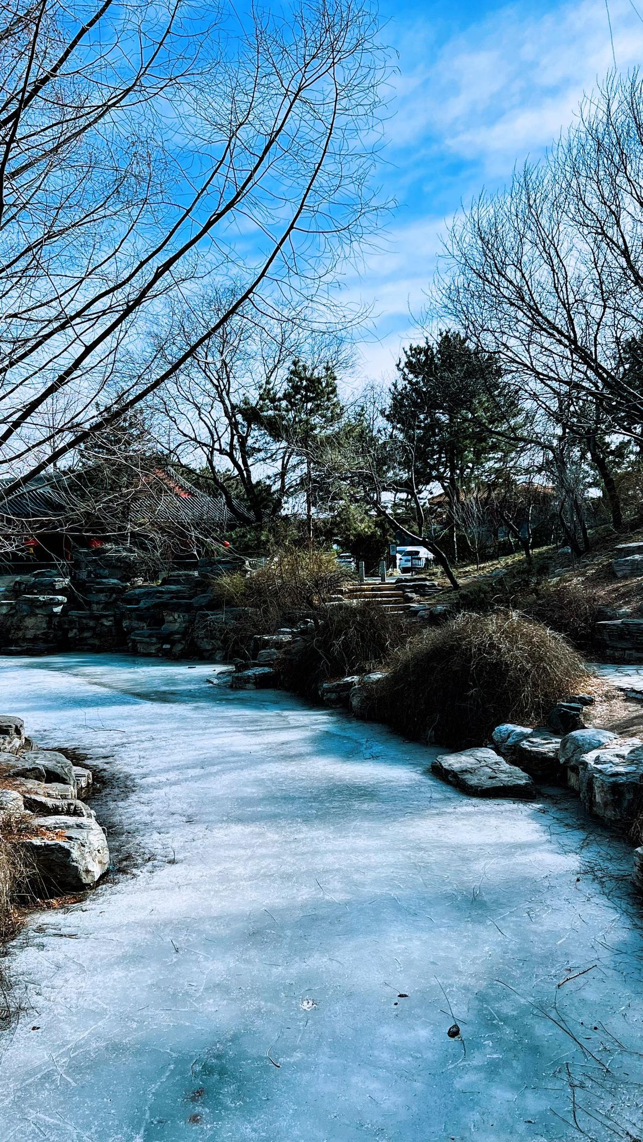 【原创】手机拍摄于北京中山公园：冬日冰封小溪，静谧如画.