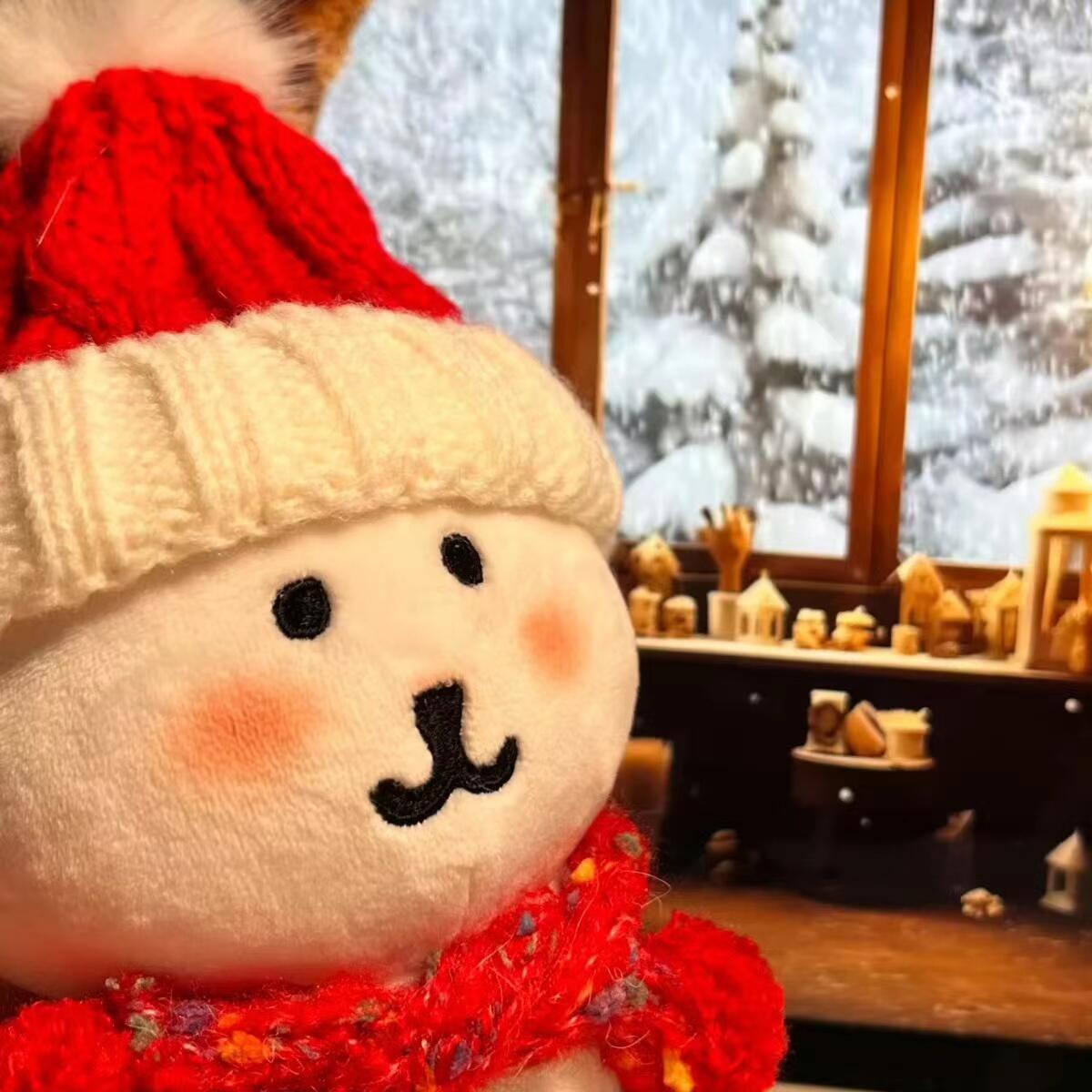 熊，迎接圣诞[圣诞帽] 