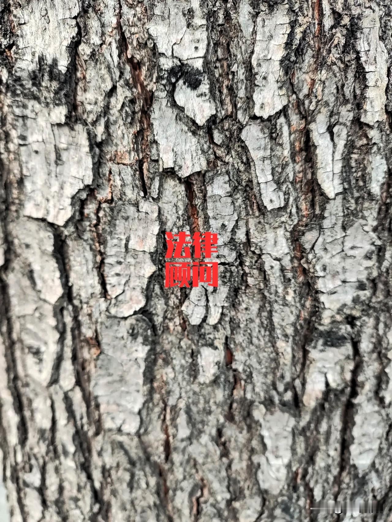 人好君莫羡，
成事能无难？
高树顶朝天，
为生满驳斑，
敢于破束茧，
方得一空间