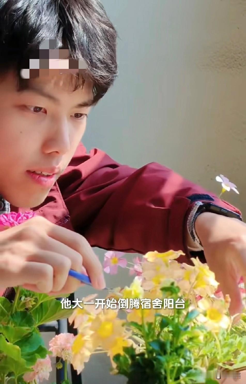 浙江一所高校的大四男生

蒋同学

在宿舍阳台

种出了一片“世外桃源”

从大