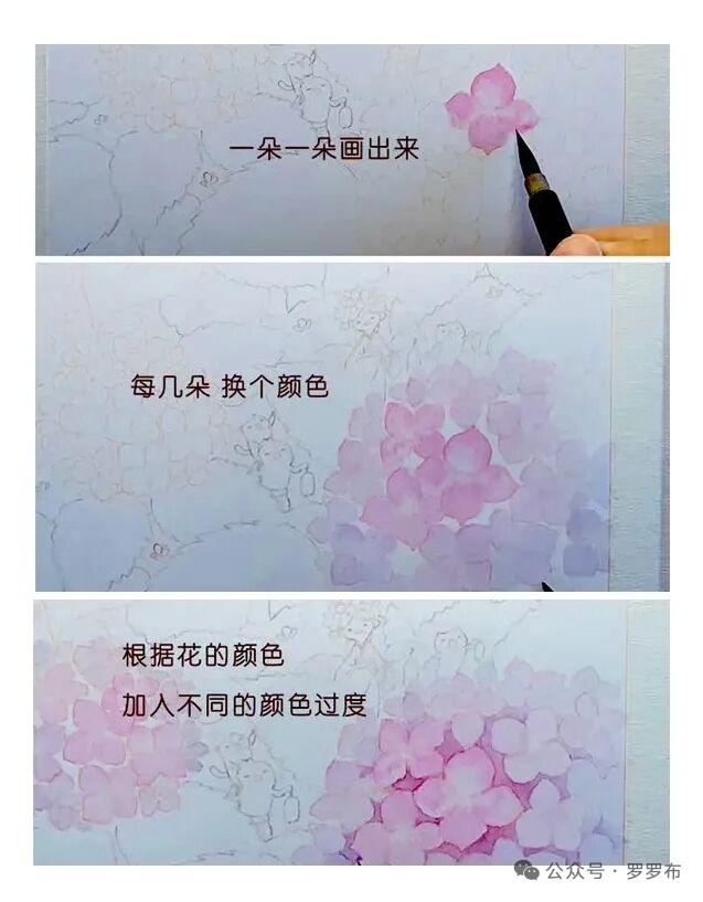 分享一下你拍过的花