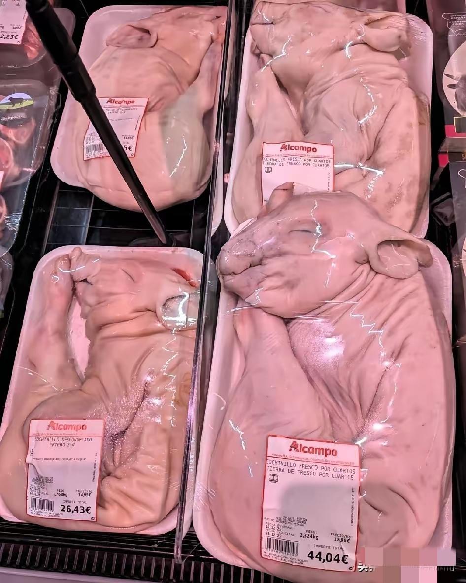 西班牙人也喜欢吃乳猪，凑巧他们也喜欢烤着吃！
这是西班牙超市出售冰鲜的乳猪肉块，
