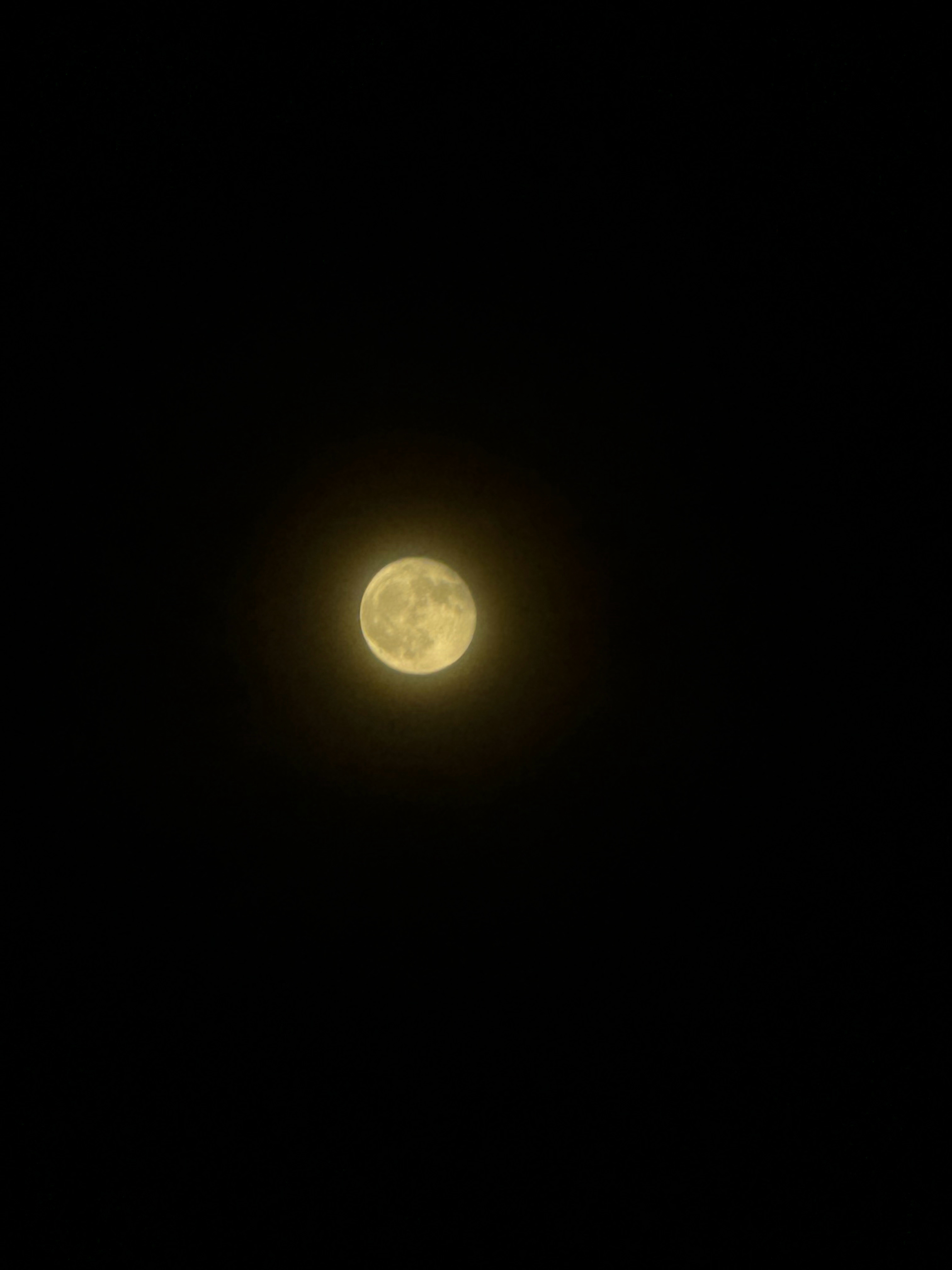 🌕 