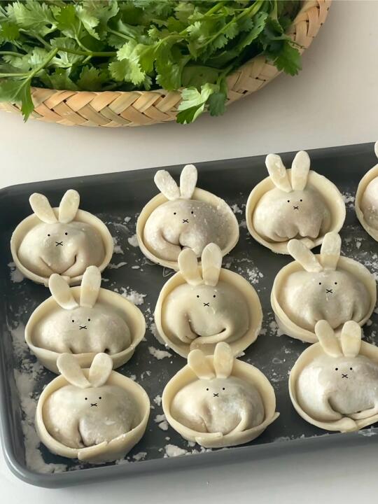 自制(･ × ･)米菲兔香菜猪肉饺🥟