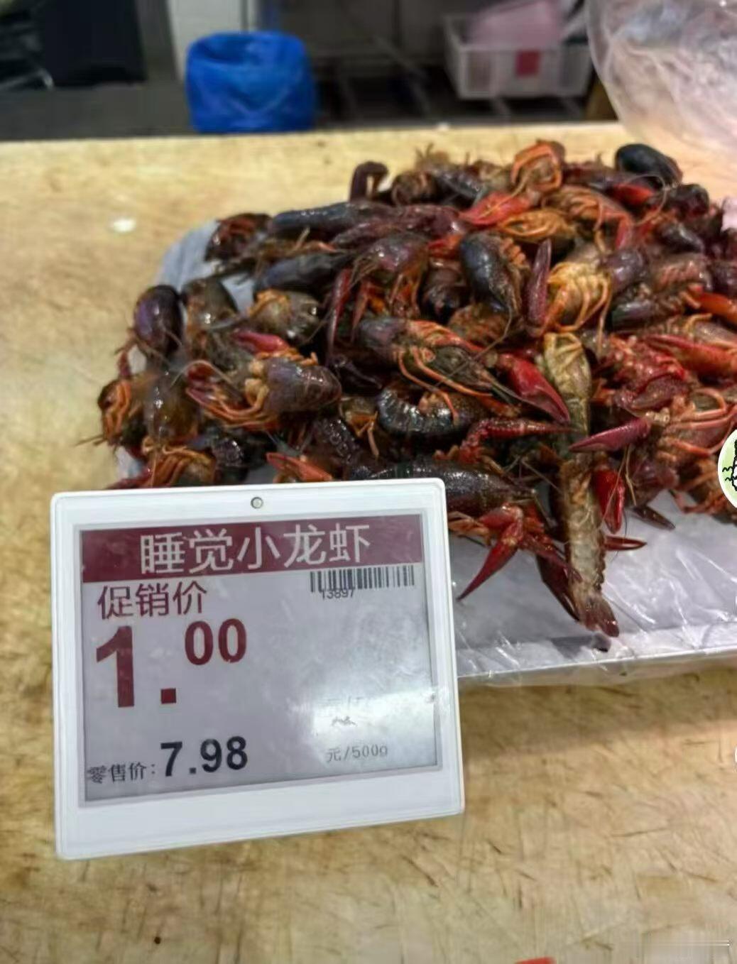 神踏马睡觉小龙虾，这是死了。