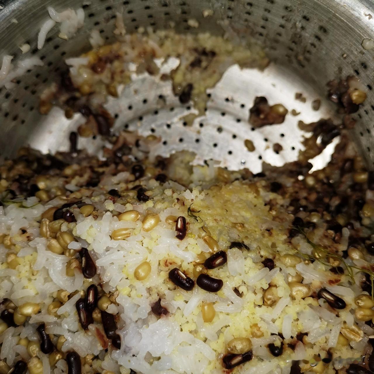 人间烟火|夜半三更闻鸟鸣想起锅
乌鸫这货不睡觉了，窗外聊的那叫一个好听，大半夜的