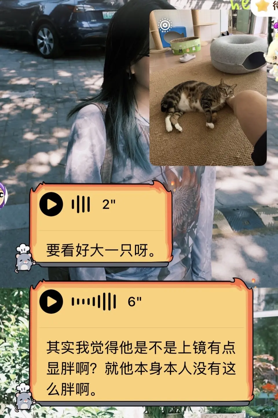 麦鹅此身从此分明了！买过我家团购的小宝发来真实评价，麦鹅本咪根本不胖！...