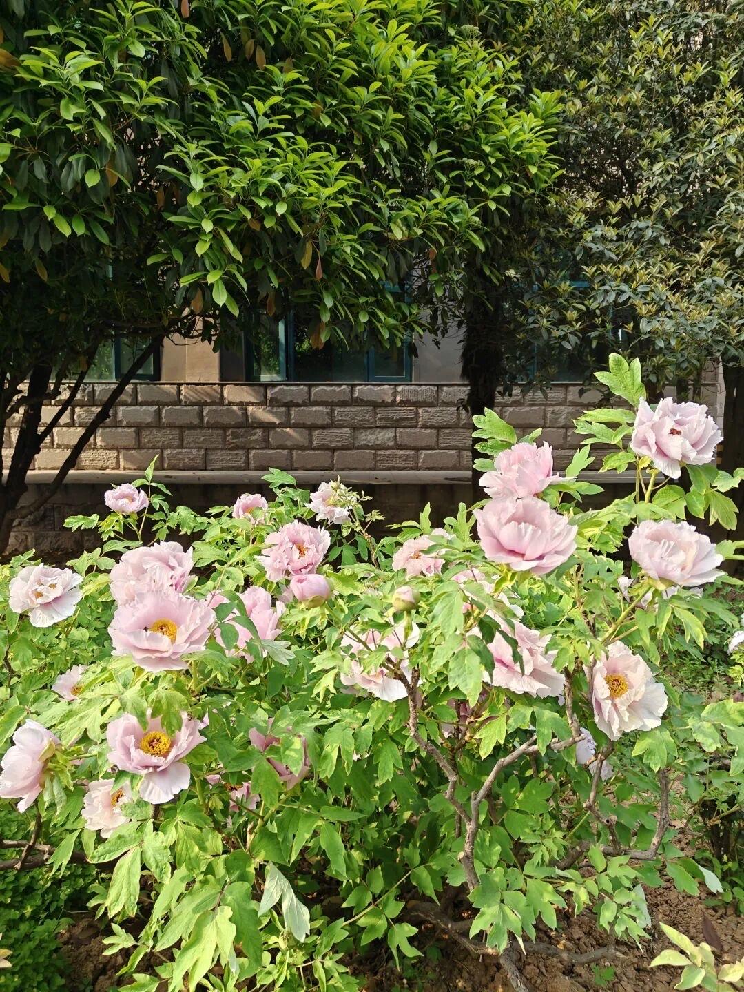 看到了一个观点。

每个人或多或少都有点斯德哥尔摩综合征，会对折磨我们的事情产生