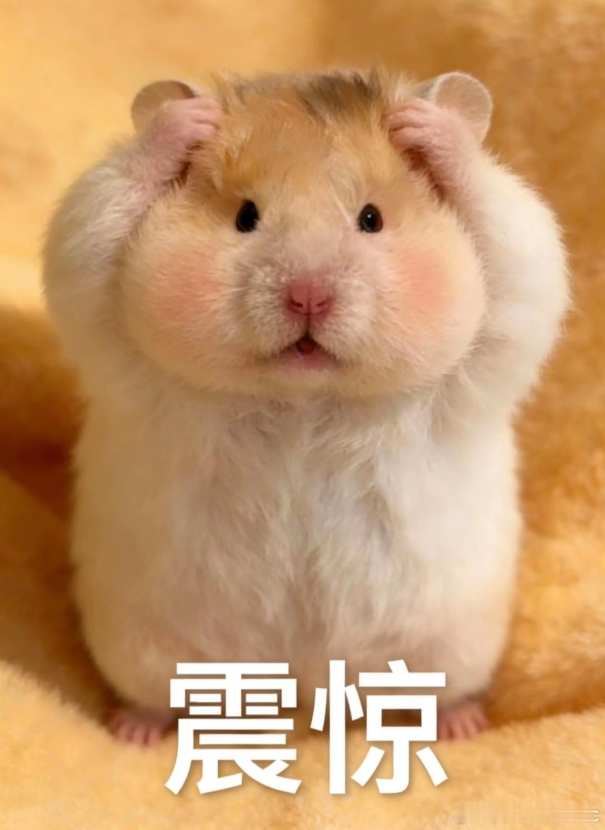 网友曝胖东来直饮水成免费取水点真是什么🐦都有，活不起了吗，跑来薅水 