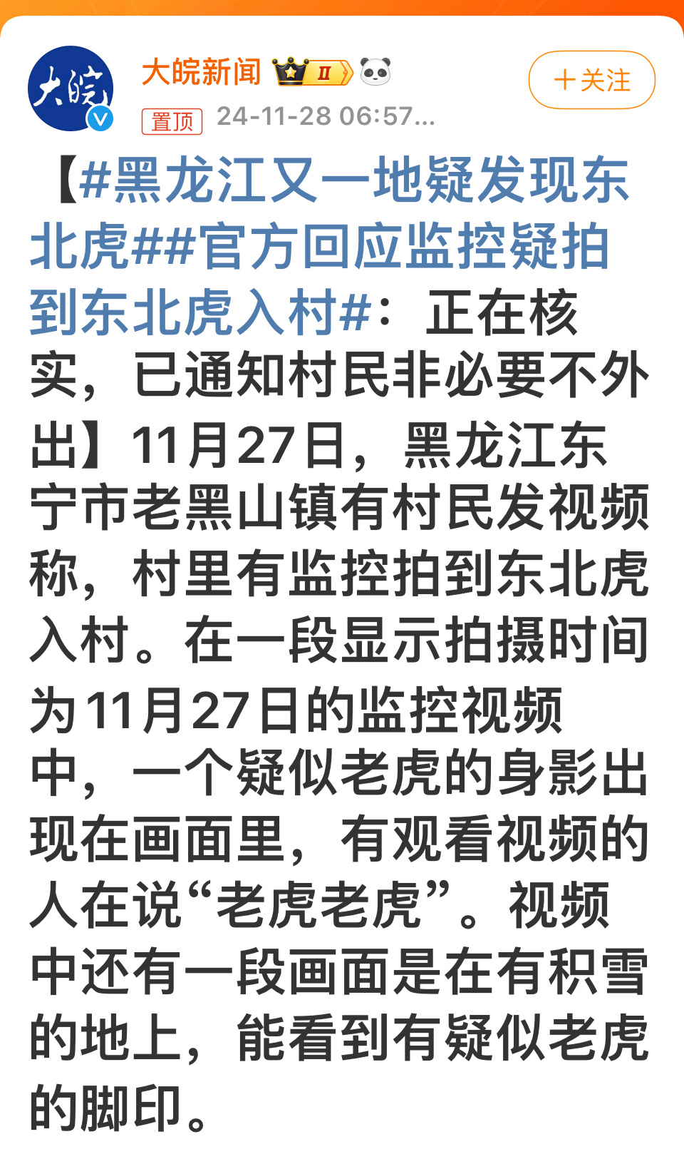 黑龙江又一地疑发现东北虎 东北虎雪地夜行，脚印明显频繁进入人类活动区域对人和虎来