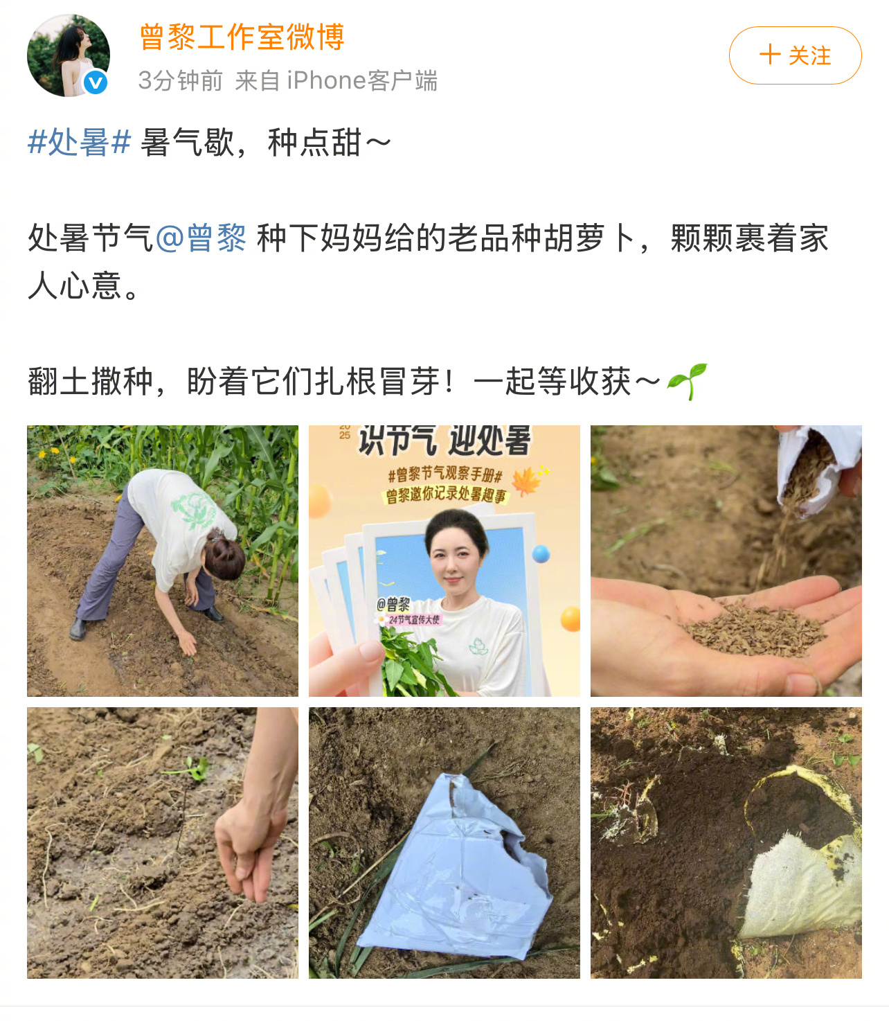 曾黎用妈妈给的种子种胡萝卜 处暑节日，曾黎用妈妈给的胡萝卜种子洒下新一季的希望，