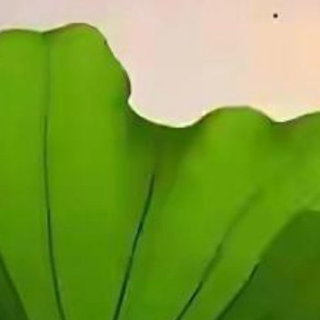 正能量[超话]正能量 新的一天就像一张纯净的白纸，等待着你去描绘。愿你能画出勇敢