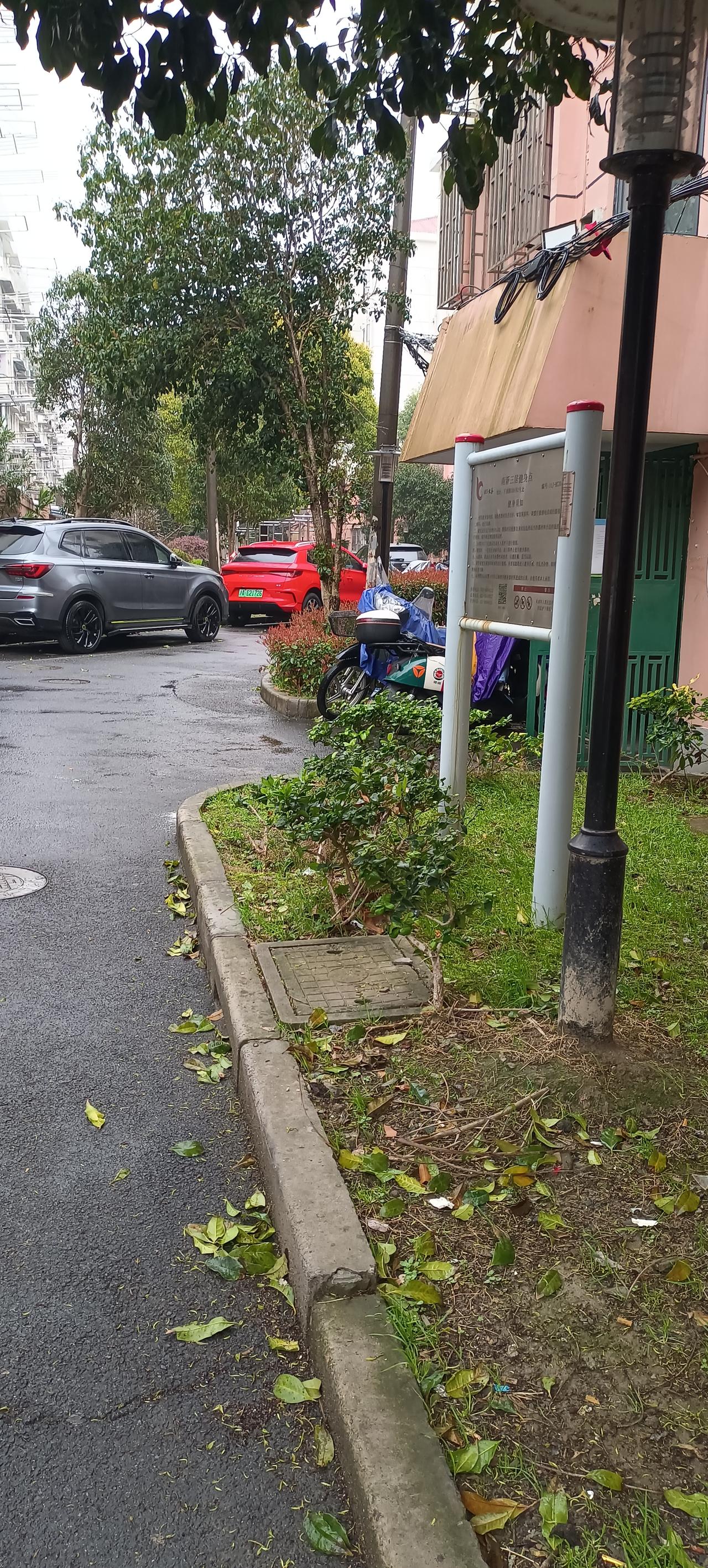 今天又是一个阴雨天，我在小区门口看视频，突然有一只小鸟向我走来，浑身都湿了，我心