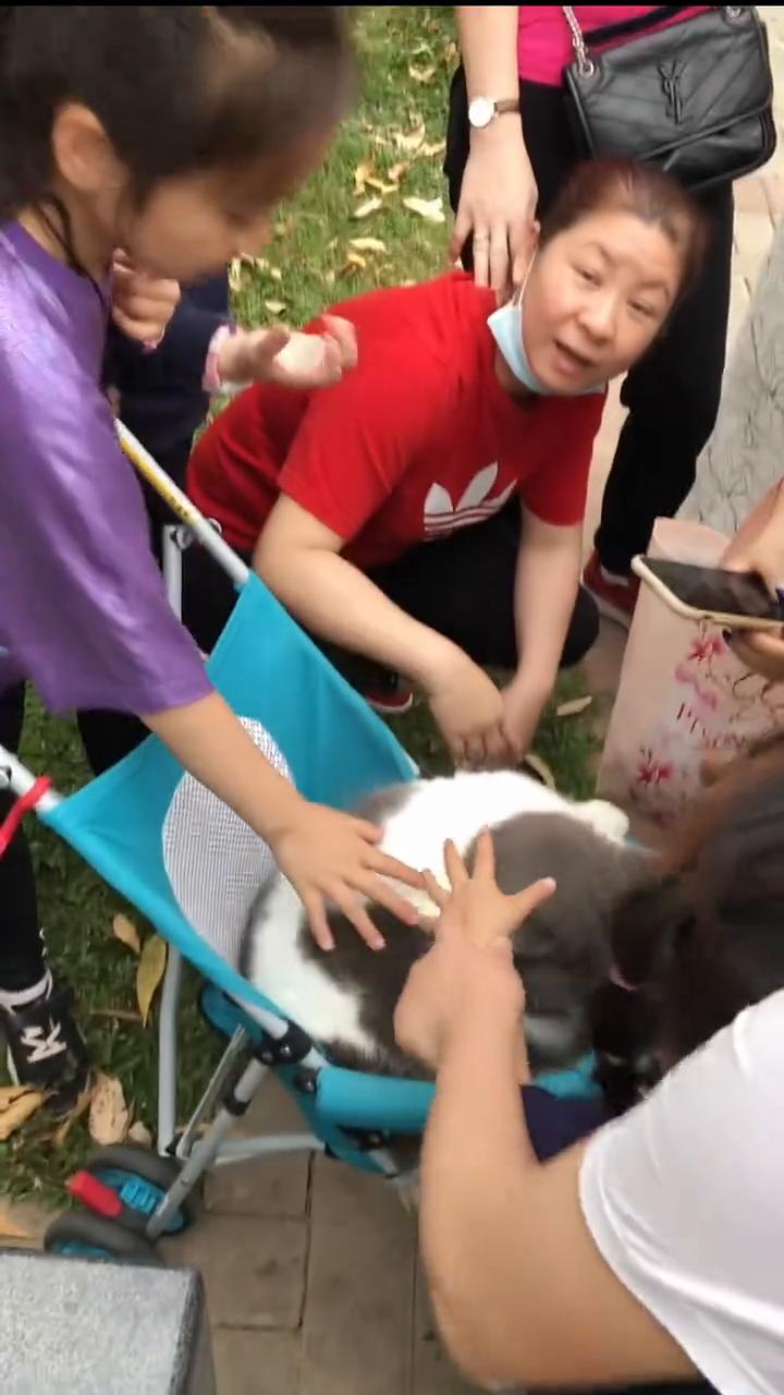 这个真的吗？这么大。
