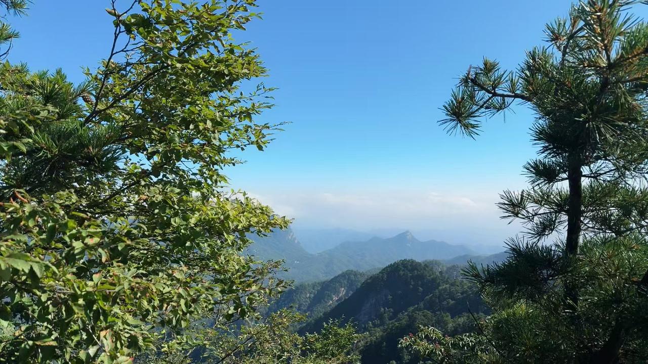夏日生活打卡季闯进青山云雾里，山河辽阔，人间风月，山野自有治愈人心的力量🌿