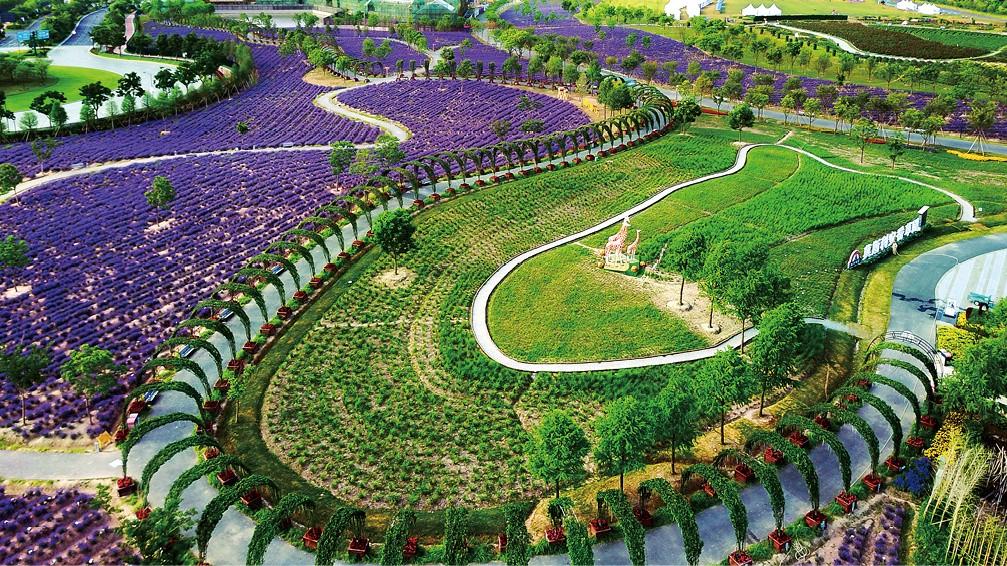 想起一句话：“信任如纸，皱了就再也抚不平。”世间技巧无穷，唯有真心最是动人。一个