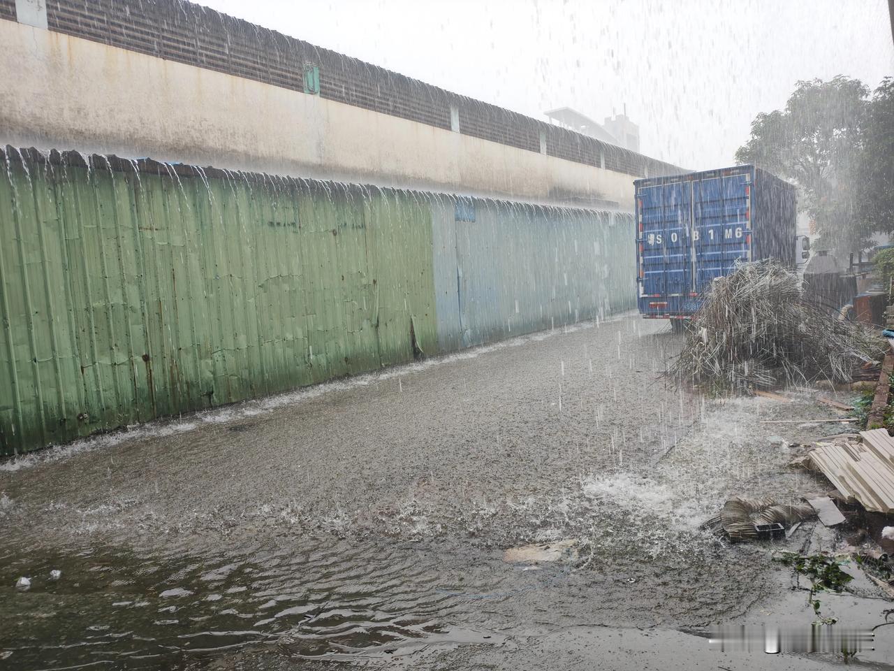 雨
从天而降
落地成河潺潺
这是
夏天的温柔