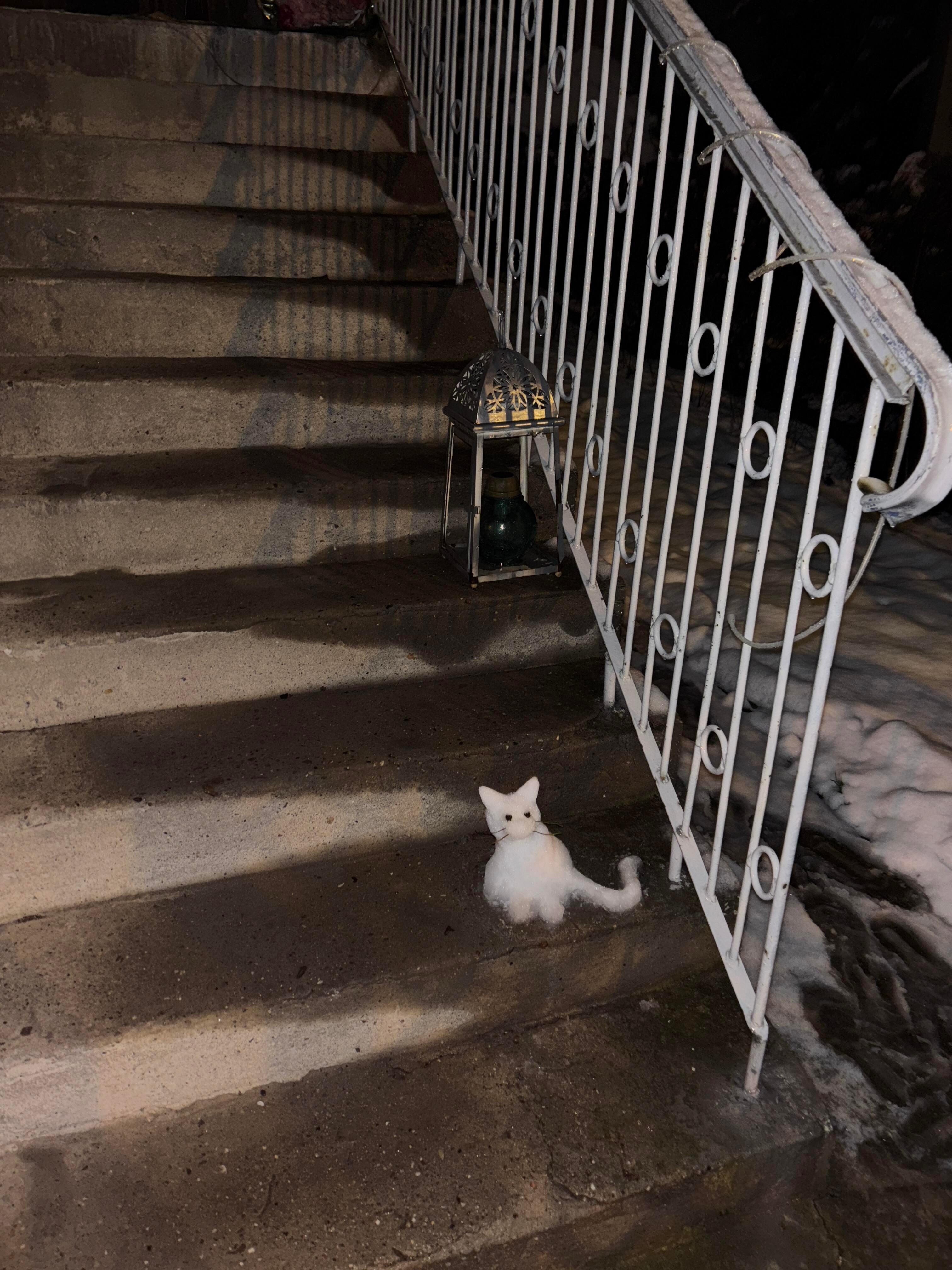 下雪了 堆了一只看门小猫咪 