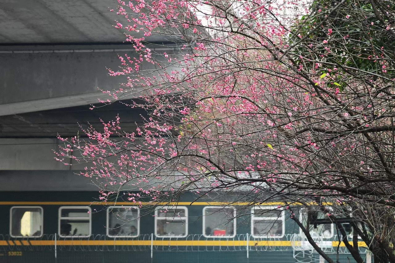 暴跌14℃！浙中南今日大降温，杭州山区或飘雪