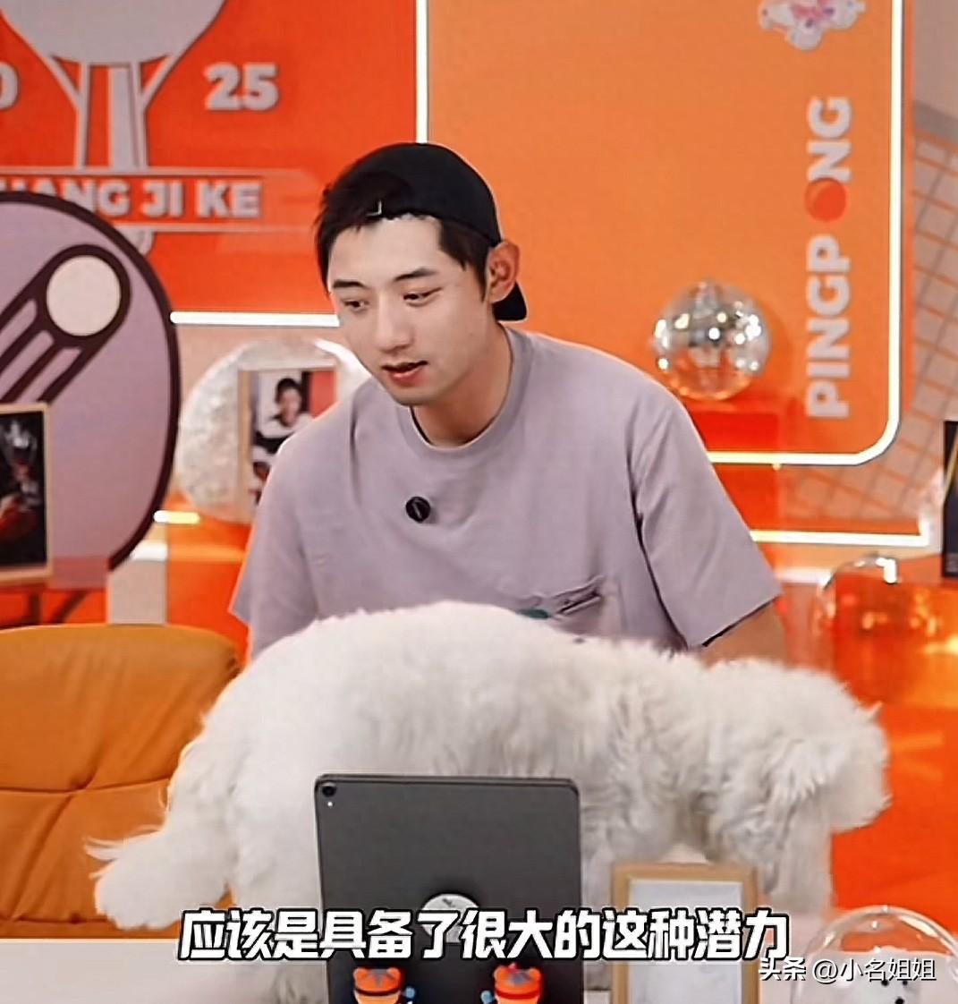 张继科直播直言：林诗栋20岁能打进三大赛决赛，天赋远超当年的我，反手已是世界顶尖