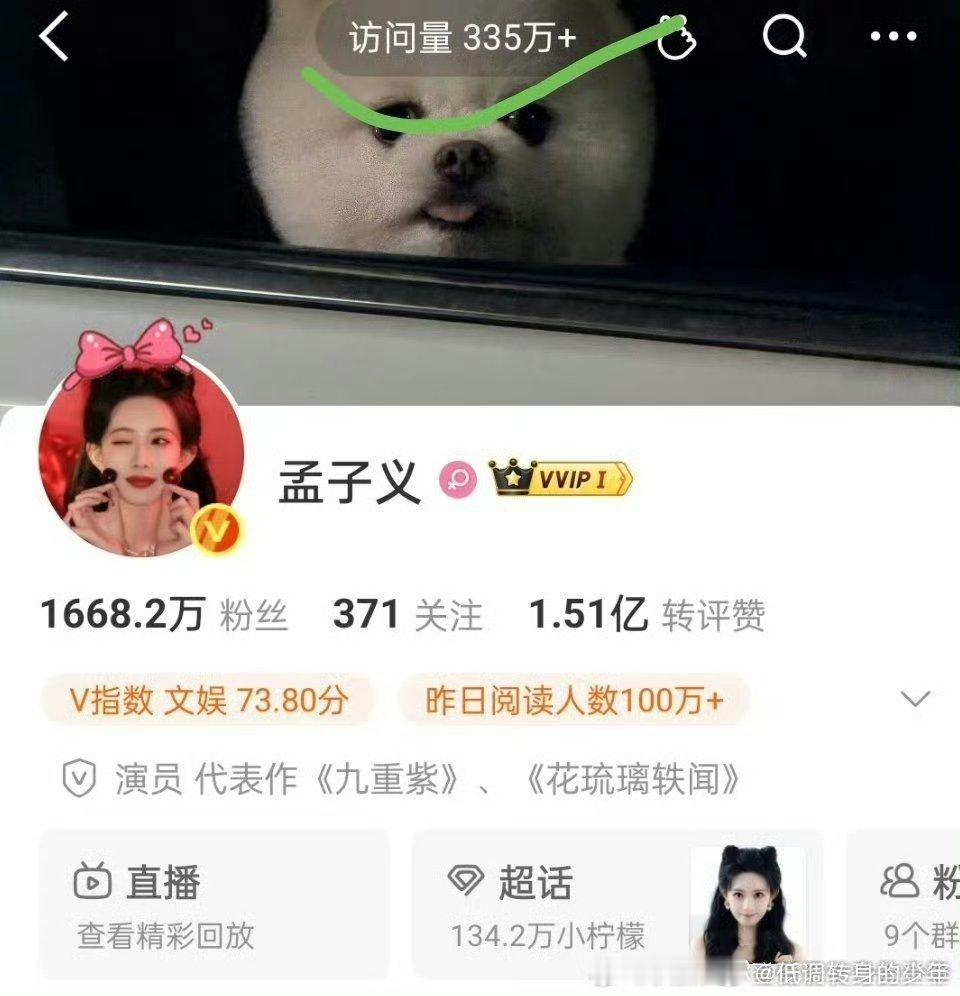 孟子义主页访问量好高啊～破335w+，孟子义  最近一直都是这样的访问量……好火