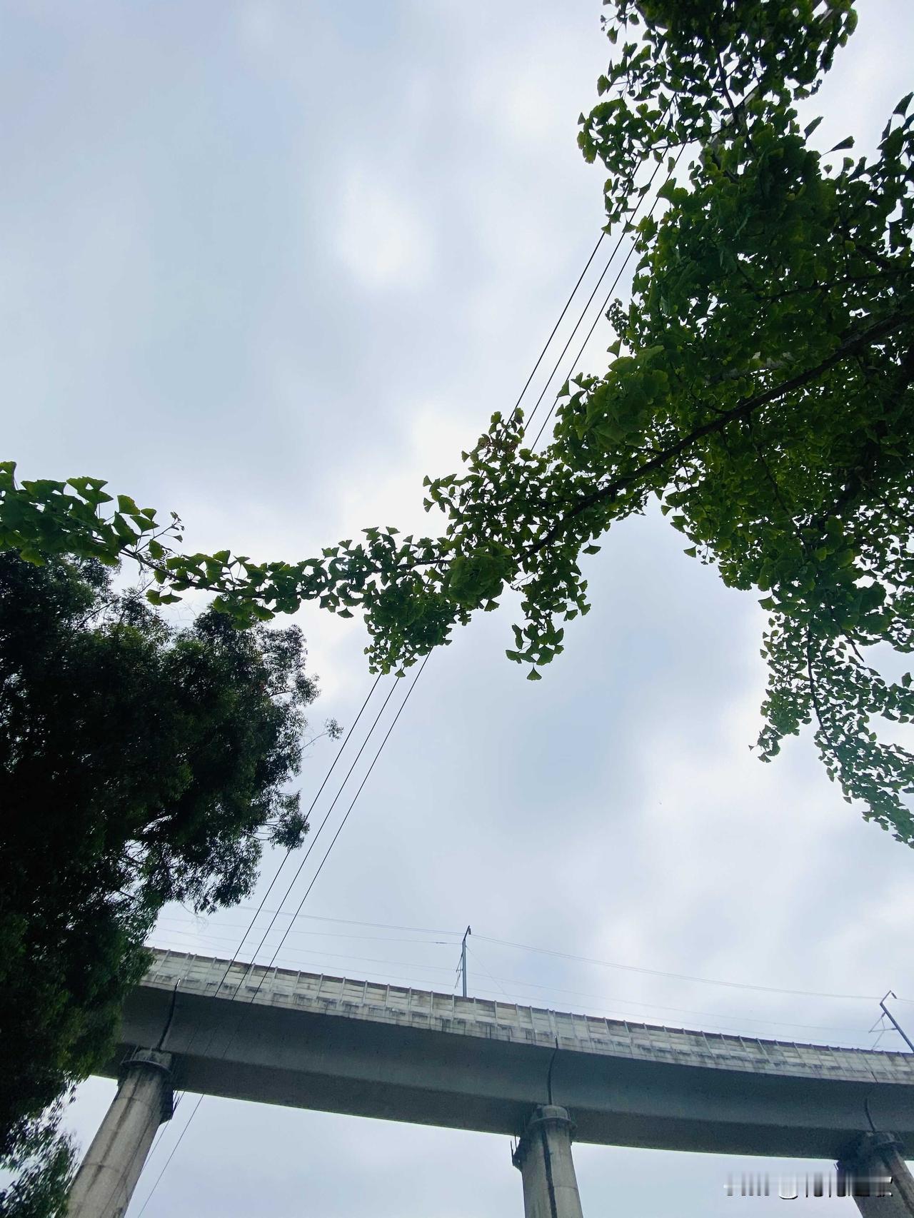 会啊，除了放在银行里外，也没有别的地方放了啊[捂脸][捂脸][捂脸]

家里少量